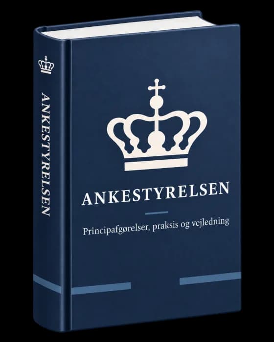 Illustration af Ankestyrelsen.