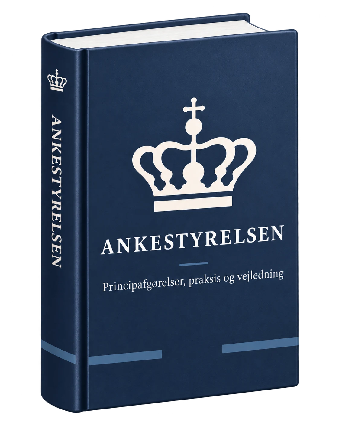 Ankestyrelsen som juridisk retskilde i APIZ inden for administrative afgørelser.
