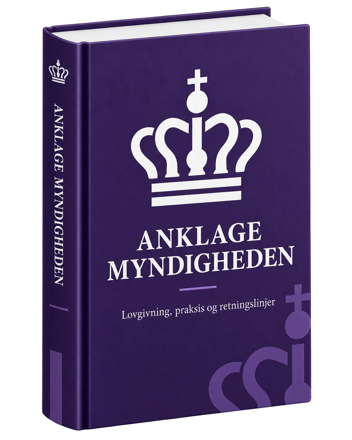 Anklagemyndigheden som juridisk retskilde i APIZ inden for strafferet og straffeproces.