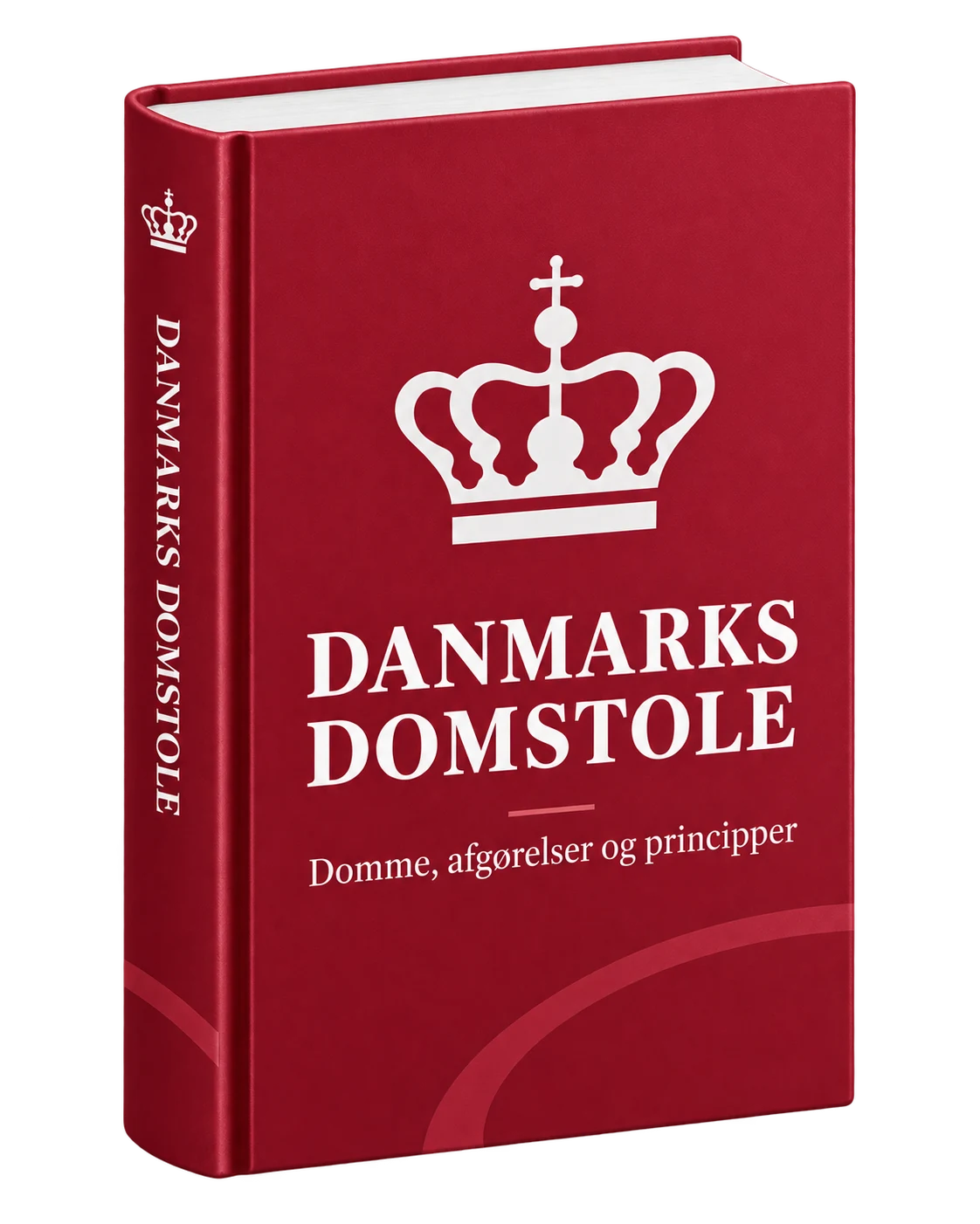Danmarks Domstole som juridisk retskilde i APIZ inden for retspraksis.